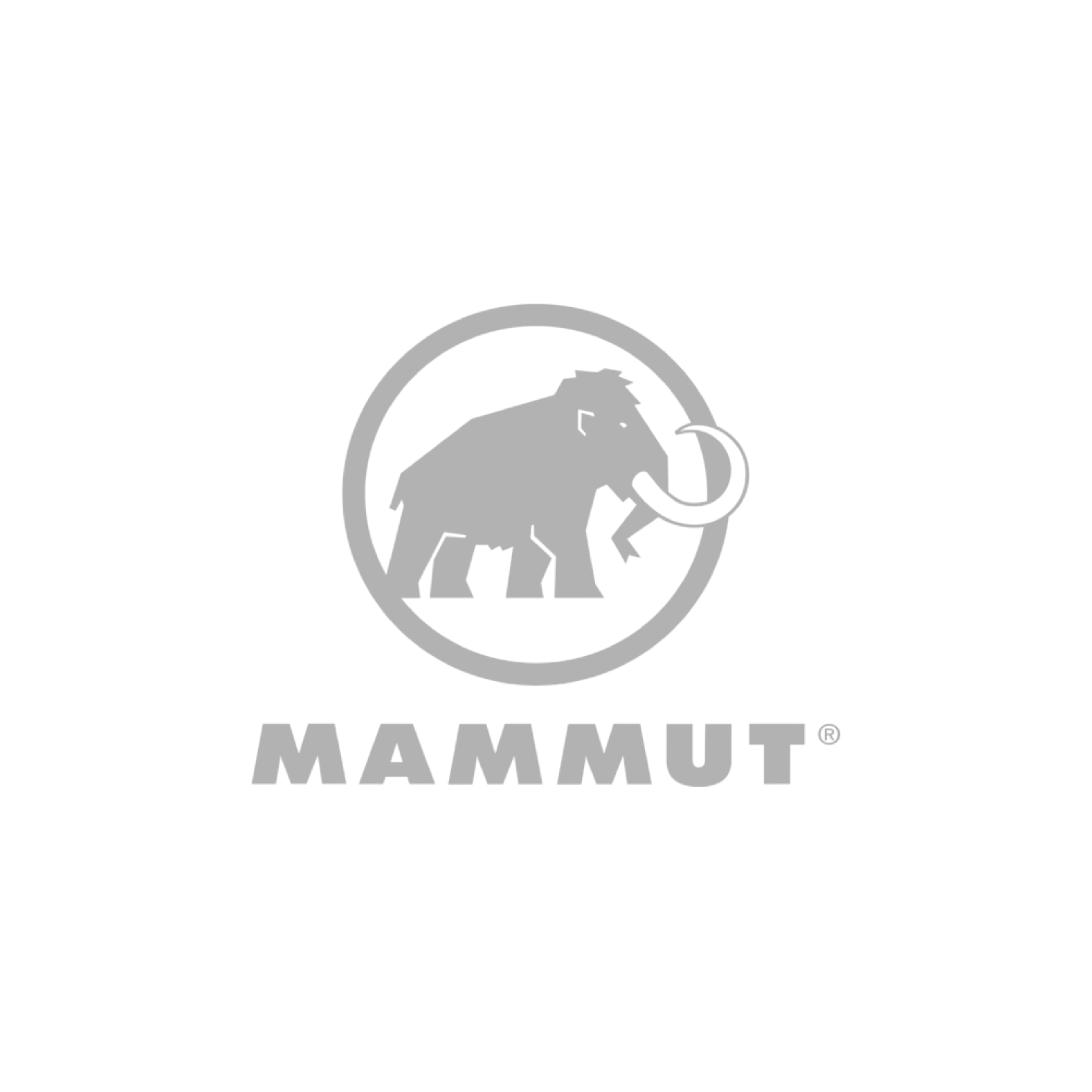 Logo 6